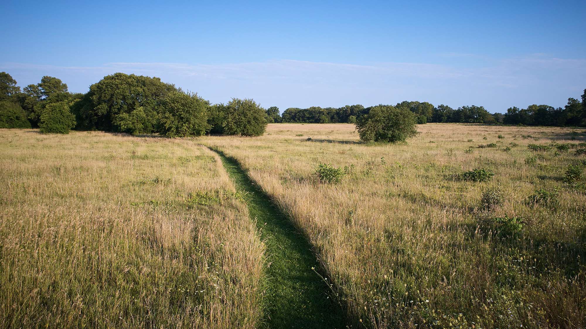 McHenry County open space.